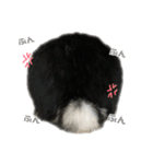 たれみみうさぎ♡うにちゃん4（個別スタンプ：32）