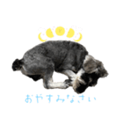 陸三郎2(りくざぶろうツー)（個別スタンプ：2）