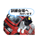 出動！消防団員 エレ班長実用的なスタンプ（個別スタンプ：11）