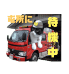 出動！消防団員 エレ班長実用的なスタンプ（個別スタンプ：12）