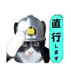 出動！消防団員 エレ班長実用的なスタンプ（個別スタンプ：14）