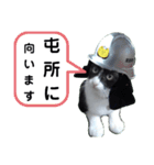 出動！消防団員 エレ班長実用的なスタンプ（個別スタンプ：15）