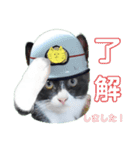 出動！消防団員 エレ班長実用的なスタンプ（個別スタンプ：17）