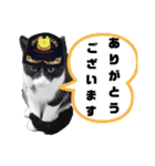 出動！消防団員 エレ班長実用的なスタンプ（個別スタンプ：20）