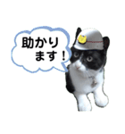 出動！消防団員 エレ班長実用的なスタンプ（個別スタンプ：22）