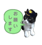 出動！消防団員 エレ班長実用的なスタンプ（個別スタンプ：25）