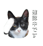 出動！消防団員 エレ班長実用的なスタンプ（個別スタンプ：37）