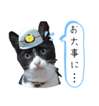 出動！消防団員 エレ班長実用的なスタンプ（個別スタンプ：39）