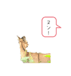 チーちゃん画伯4（個別スタンプ：23）