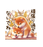 癒しの柴犬の日常（個別スタンプ：11）