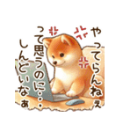 癒しの柴犬の日常（個別スタンプ：23）