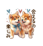 癒しの柴犬の日常（個別スタンプ：24）