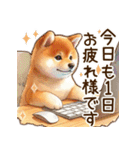 癒しの柴犬の日常（個別スタンプ：26）