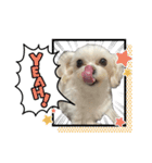 かわいいぼこやろうスタンプ（個別スタンプ：9）