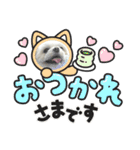 かわいいぼこやろうスタンプ（個別スタンプ：13）