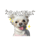 かわいいぼこやろうスタンプ（個別スタンプ：14）