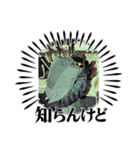 ノブスタンプ第5（個別スタンプ：5）