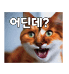 韓国語をしゃべる三毛猫（個別スタンプ：13）