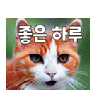 韓国語をしゃべる三毛猫（個別スタンプ：21）