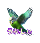 AI セキセイインコ（個別スタンプ：2）