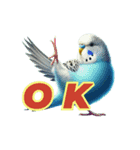 AI セキセイインコ（個別スタンプ：4）