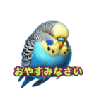 AI セキセイインコ（個別スタンプ：5）