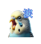 AI セキセイインコ（個別スタンプ：7）