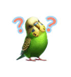 AI セキセイインコ（個別スタンプ：8）
