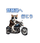 バイクに乗る猫【関西,四国/ツーリング】（個別スタンプ：1）