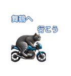 バイクに乗る猫【関西,四国/ツーリング】（個別スタンプ：5）