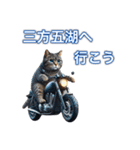 バイクに乗る猫【関西,四国/ツーリング】（個別スタンプ：6）