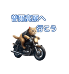 バイクに乗る猫【関西,四国/ツーリング】（個別スタンプ：9）