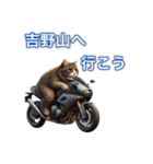 バイクに乗る猫【関西,四国/ツーリング】（個別スタンプ：10）