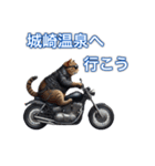 バイクに乗る猫【関西,四国/ツーリング】（個別スタンプ：12）