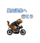 バイクに乗る猫【関西,四国/ツーリング】（個別スタンプ：13）