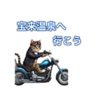 バイクに乗る猫【関西,四国/ツーリング】（個別スタンプ：15）