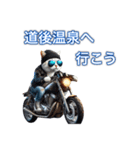 バイクに乗る猫【関西,四国/ツーリング】（個別スタンプ：19）