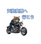 バイクに乗る猫【関西,四国/ツーリング】（個別スタンプ：21）