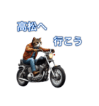 バイクに乗る猫【関西,四国/ツーリング】（個別スタンプ：22）