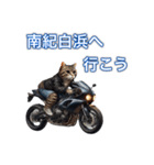 バイクに乗る猫【関西,四国/ツーリング】（個別スタンプ：23）