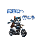 バイクに乗る猫【関西,四国/ツーリング】（個別スタンプ：28）