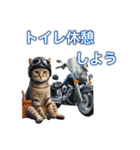 バイクに乗る猫【関西,四国/ツーリング】（個別スタンプ：30）