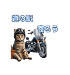 バイクに乗る猫【関西,四国/ツーリング】（個別スタンプ：31）