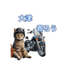 バイクに乗る猫【関西,四国/ツーリング】（個別スタンプ：32）