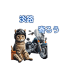 バイクに乗る猫【関西,四国/ツーリング】（個別スタンプ：33）