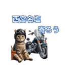 バイクに乗る猫【関西,四国/ツーリング】（個別スタンプ：36）