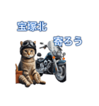 バイクに乗る猫【関西,四国/ツーリング】（個別スタンプ：37）