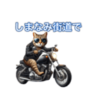 バイクに乗る猫【関西,四国/ツーリング】（個別スタンプ：38）