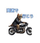 バイクに乗る猫【関西,四国/ツーリング】（個別スタンプ：39）