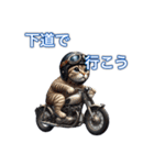 バイクに乗る猫【関西,四国/ツーリング】（個別スタンプ：40）